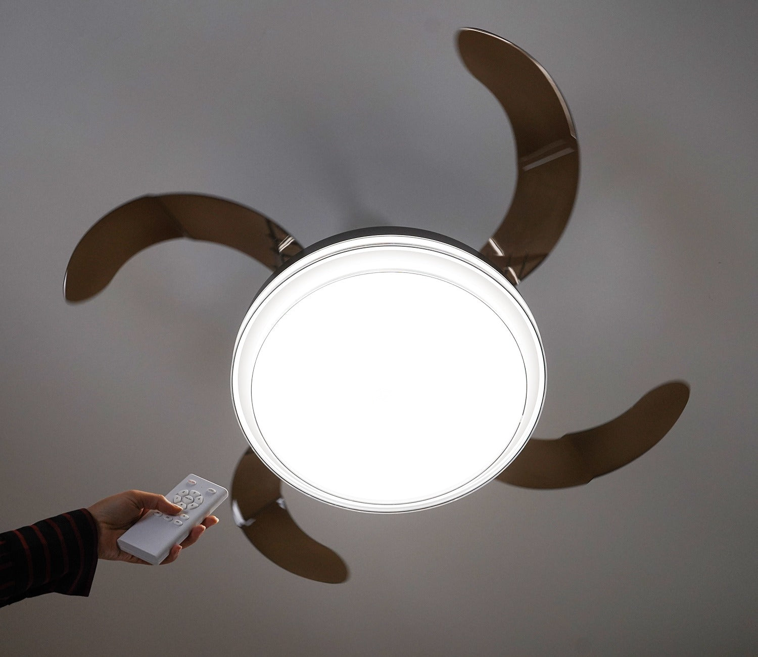 Purity in Motion Lighting Fan-Black