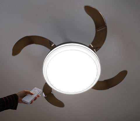 Purity in Motion Lighting Fan-Black