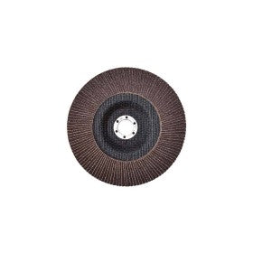 Trueliving_Xtra Power Flap Disc Product	Diameter in MM	Grit 46	100	46