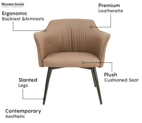 Shori Lounge Chair (Brown)