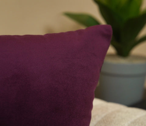 Caro Velvet Pleated Cushion Cover - Pack of 1 (16 x 16 Inch, Mulberry Pink)