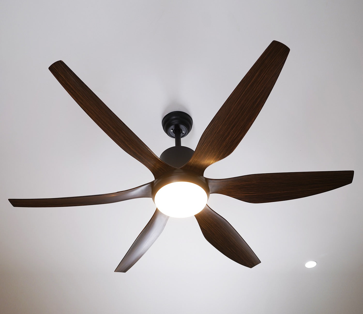 Power in Simplicity Lighting Fan