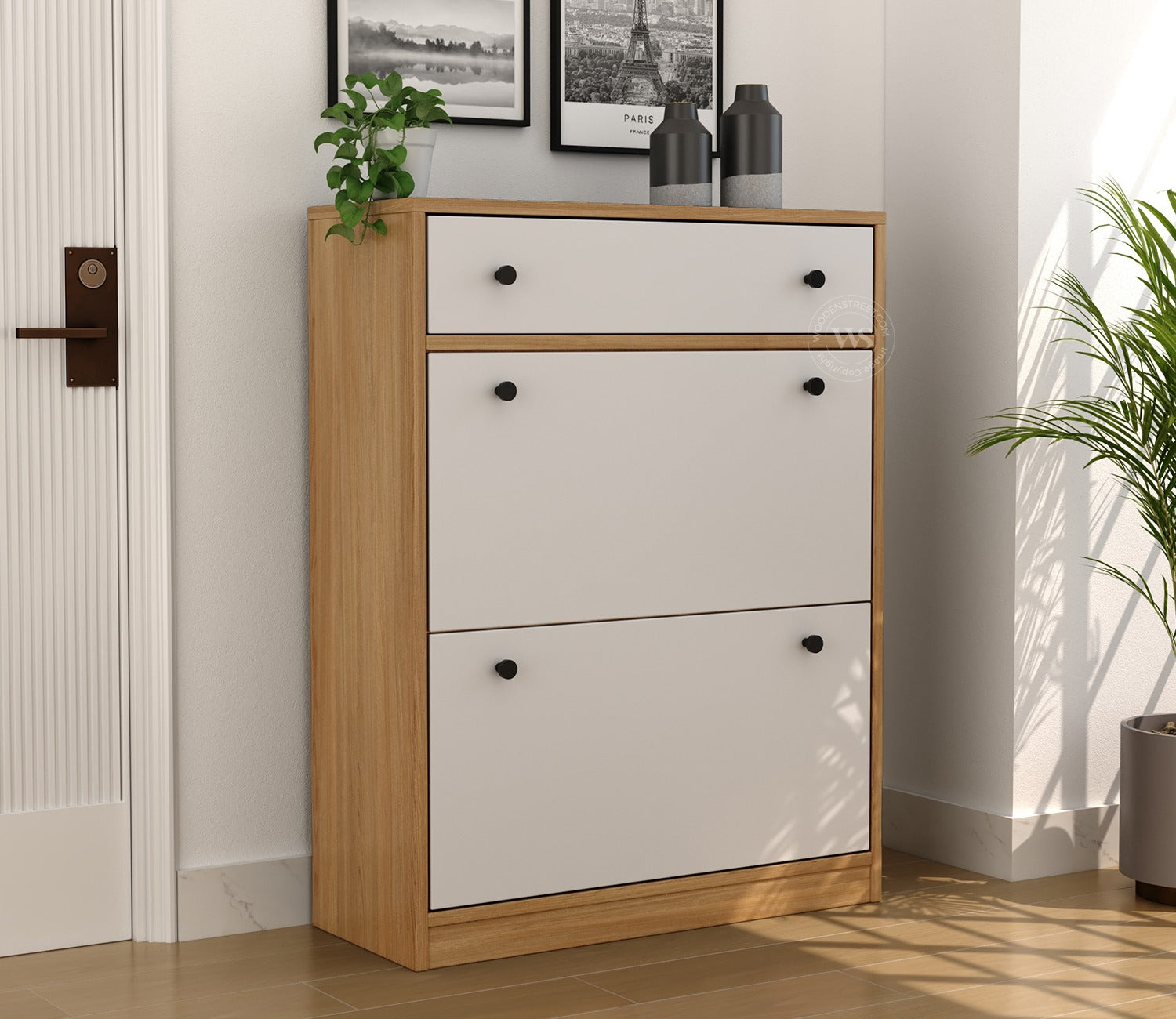 Kazen Engineered Wood Shoe Rack with Tilt Out Mechanism (Santana Pattern)