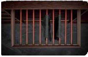 Trueliving_SOFT CLOSE MOCHA TROUSER RACK 600MM Dark