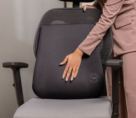 Ergolean Orthopedic Backrest Cushion (Black)