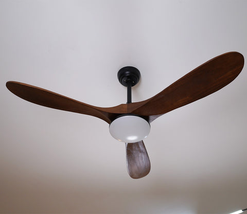 Three Feathers of Bliss Lighting Fan