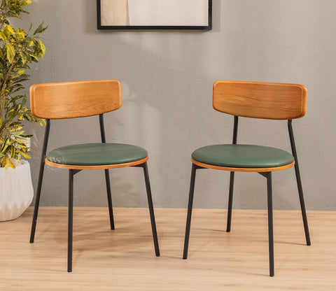 Estara Modern Outdoor Chair (Green)
