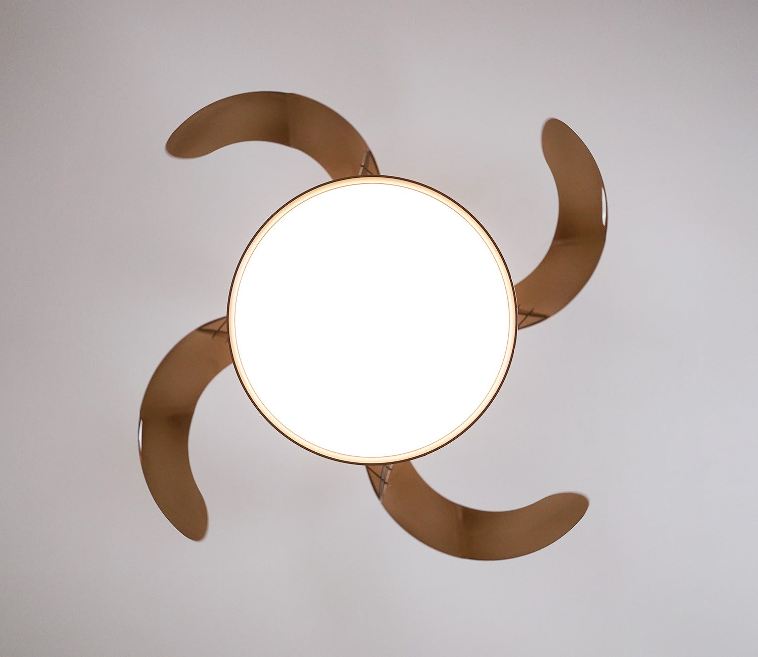 Purity in Motion Lighting Fan-Brown