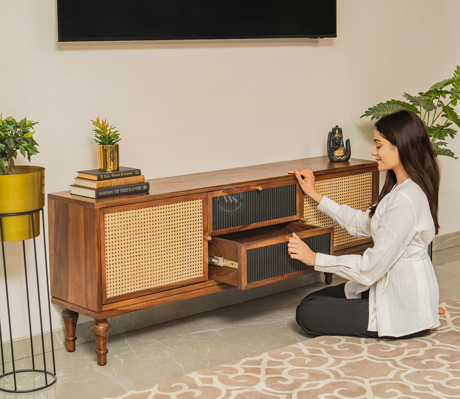 Murphy Premium Solid Wood TV Unit With Drawers, Cane & Brass Accents (Sheesham Wood, Teak Finish)
