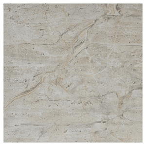 Trueliving_Somany Duragres Valor Imperial Daino Grey FP Glossy 600 mm x 600 mm GVT Tile_Price-63_Per Sq Ft.