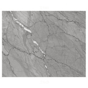 Trueliving_Shreeji Spider Grey Glossy 1200 mm x 600 mm GVT Tile_Price-51_Per Sq Ft.