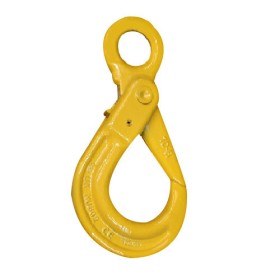 Trueliving_G80 Eye Self Locking Hook_Size-7/9_Weight 0.80  kg_WLL 2  Tons
