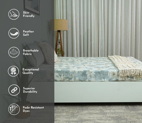 Blossom Flat Cotton Bed Sheet King Size with 2 Pillow Covers (Grey)