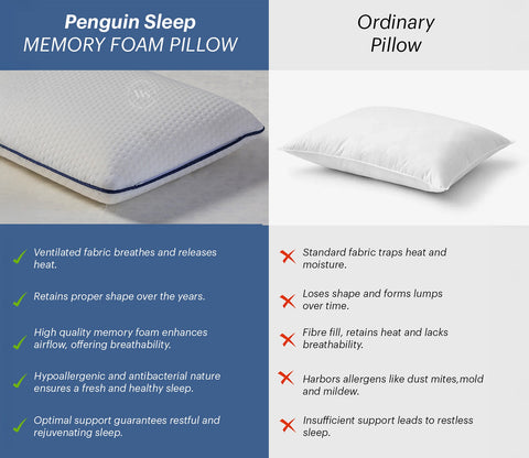Moonmist Memory Foam Orthopedic Pillow (Large Size)