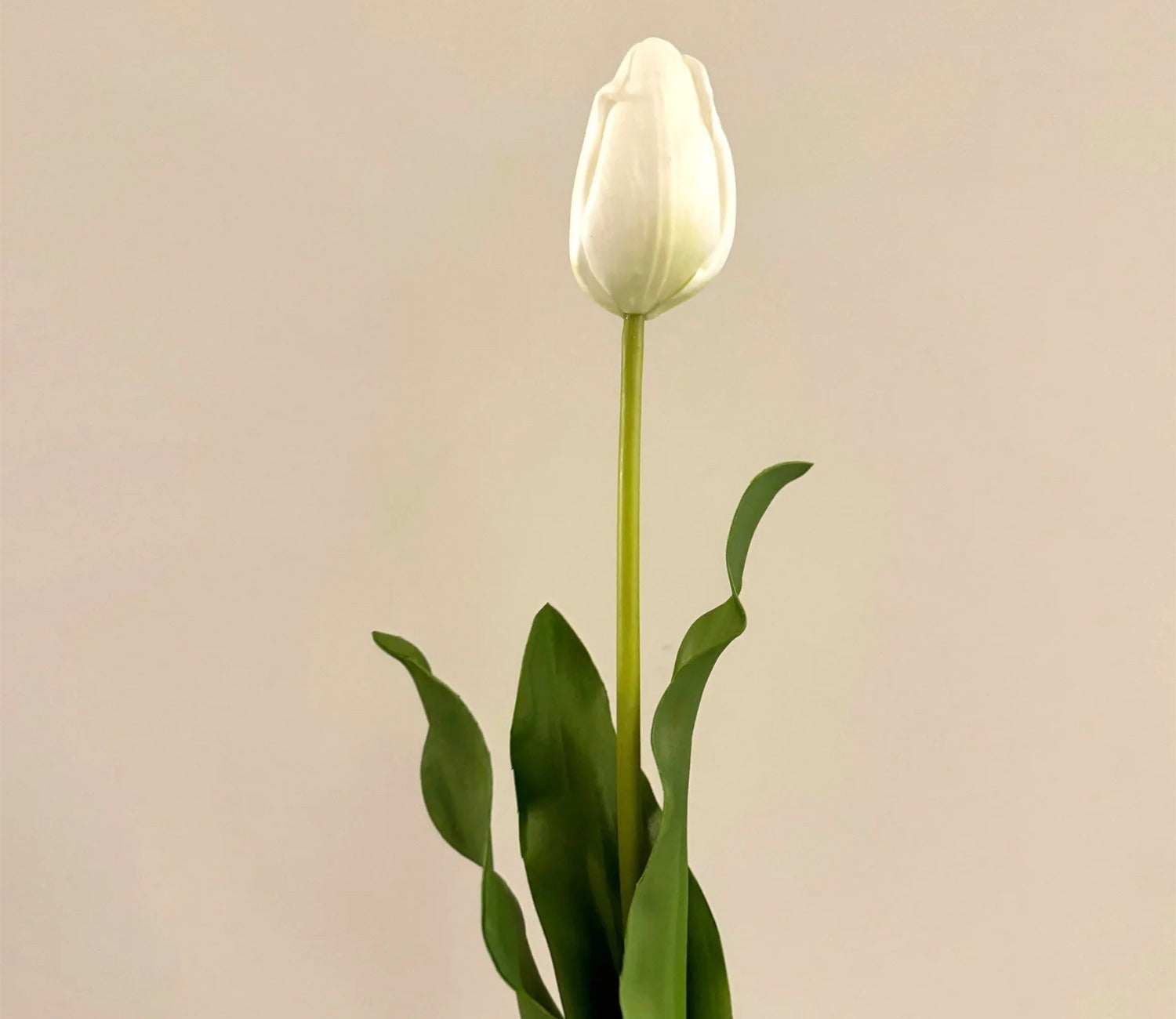 White Tulip Artificial Flower Set of 5