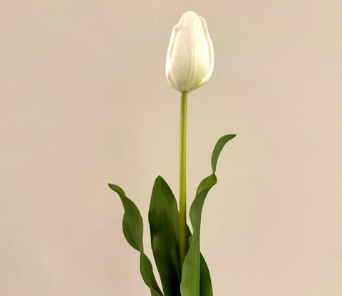 White Tulip Artificial Flower Set of 5