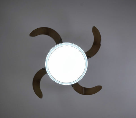 Purity in Motion Lighting Fan-Black