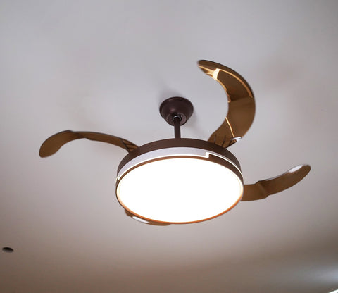 Purity in Motion Lighting Fan-Brown
