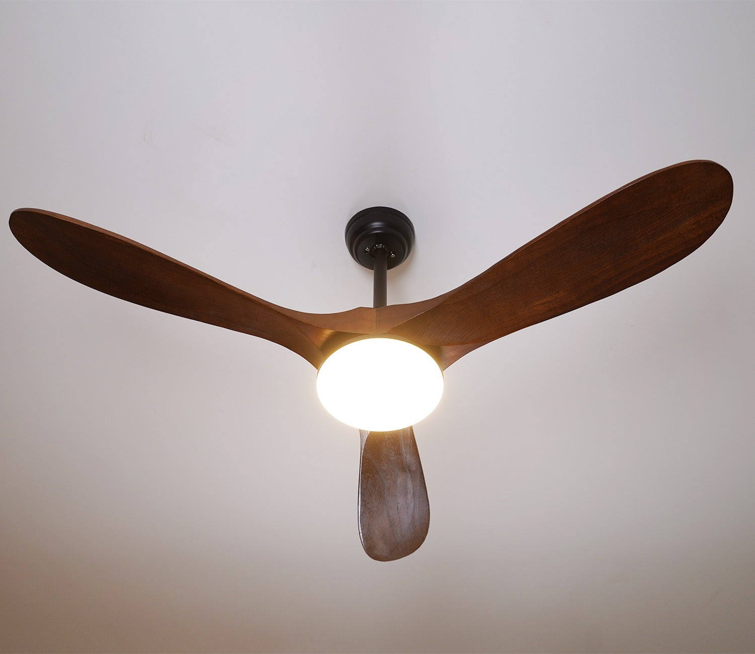 Three Feathers of Bliss Lighting Fan