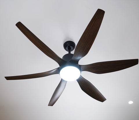 Power in Simplicity Lighting Fan
