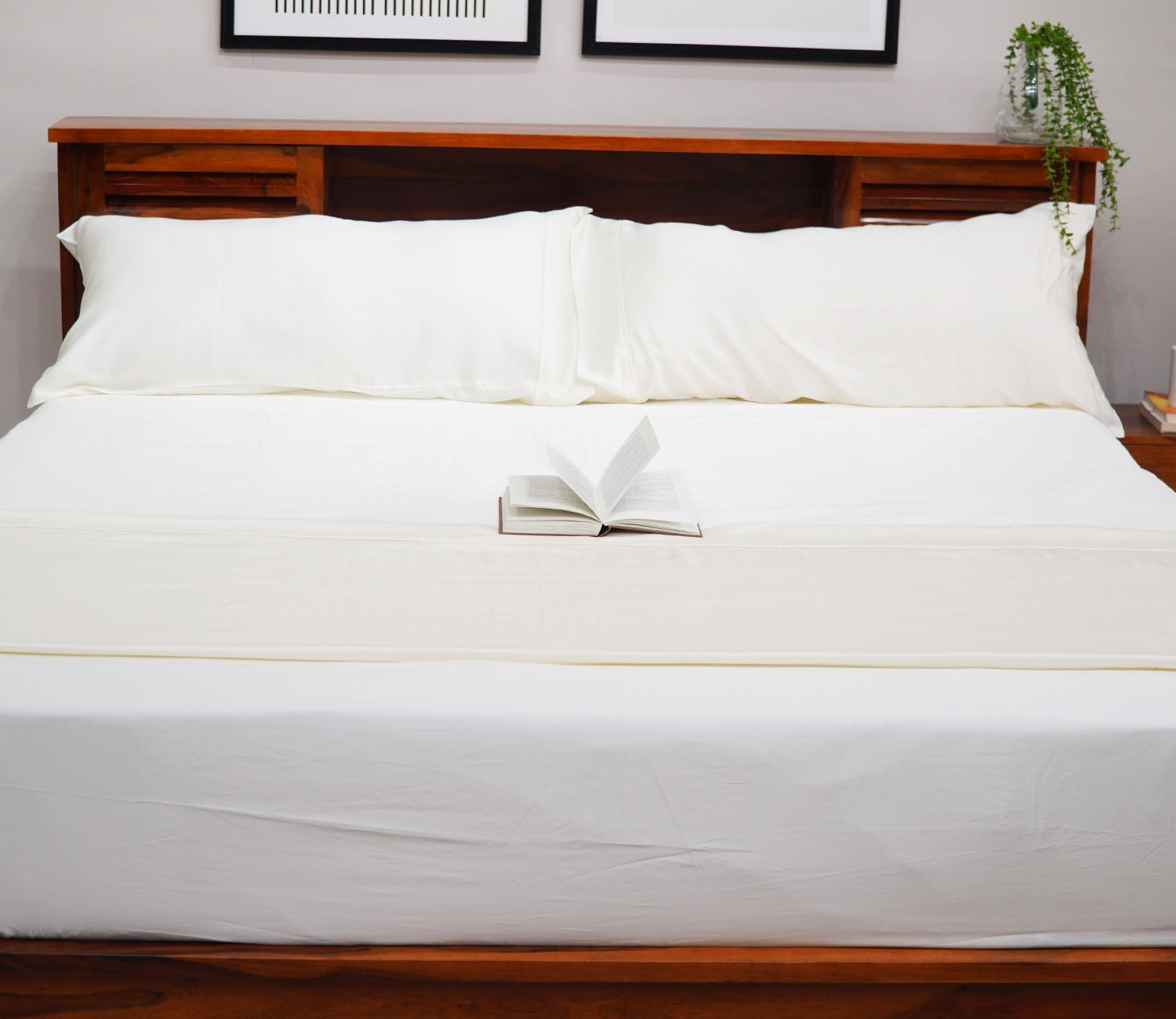 Vegan Bamboo Silk Bedsheet 300 TC Naturally Anti-Bacterial Fitted King Bedsheet with 2 Pillow Cover (Ivory)