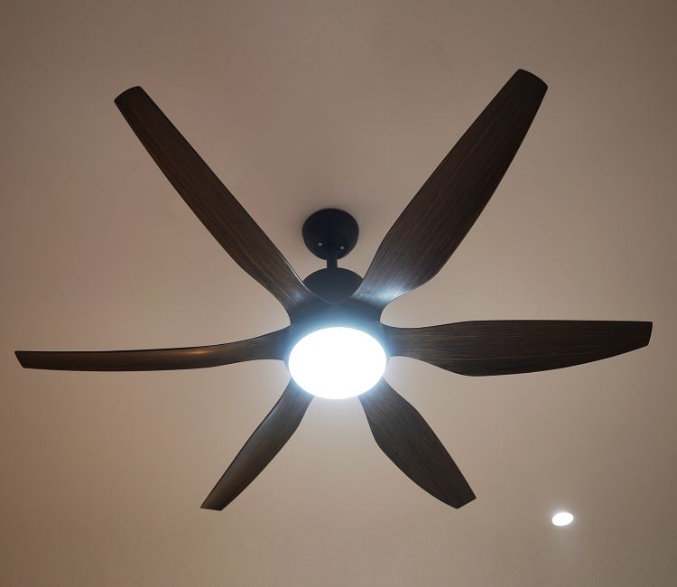 Power in Simplicity Lighting Fan