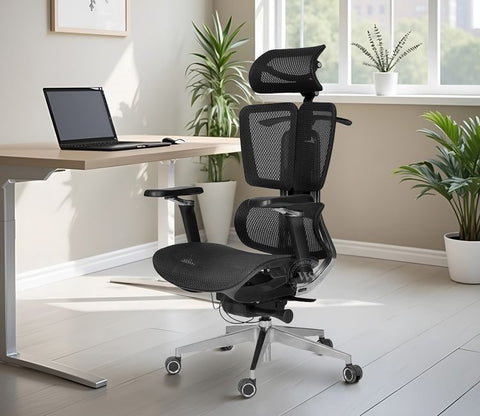 Bezus Premium Ergonomic High-Back Mesh Office Chair (Black)