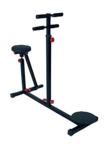 Double Twister-gym equipment