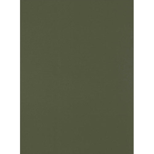 Trueliving_Centuryply_OLIVE GREEN__Design Code: 3271 SIZE:2440 MM X 1220 MM  THICKNESS: 1 MM