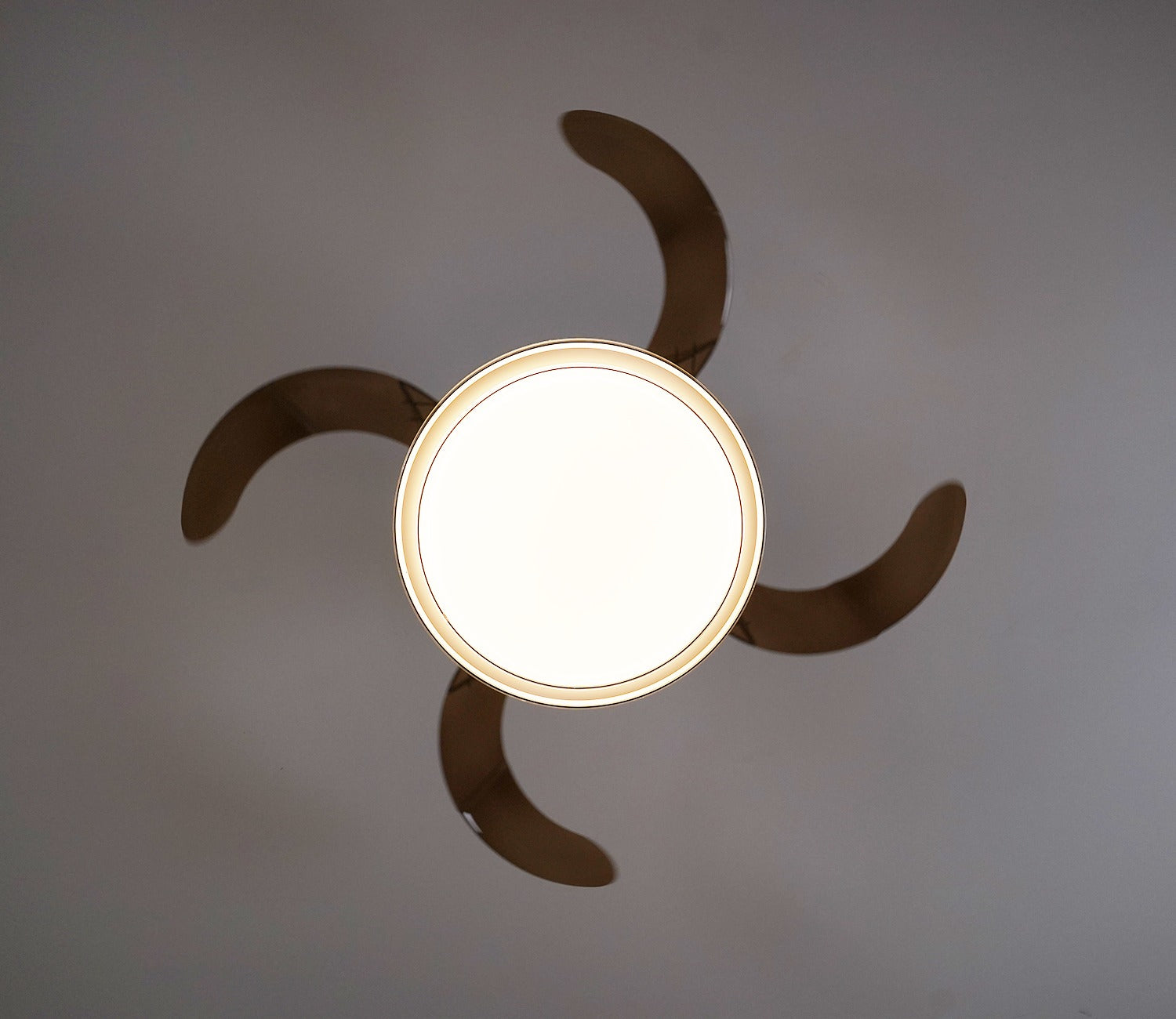 Purity in Motion Lighting Fan-Black