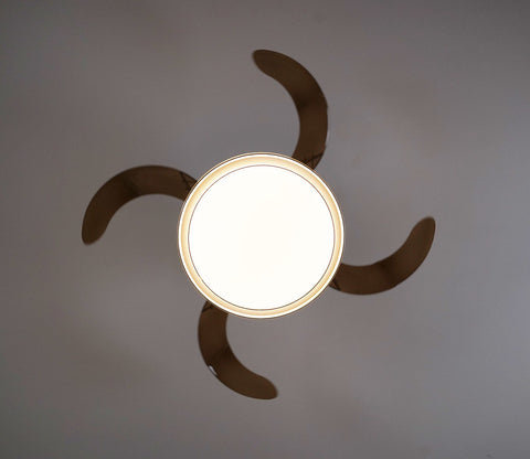 Purity in Motion Lighting Fan-Black