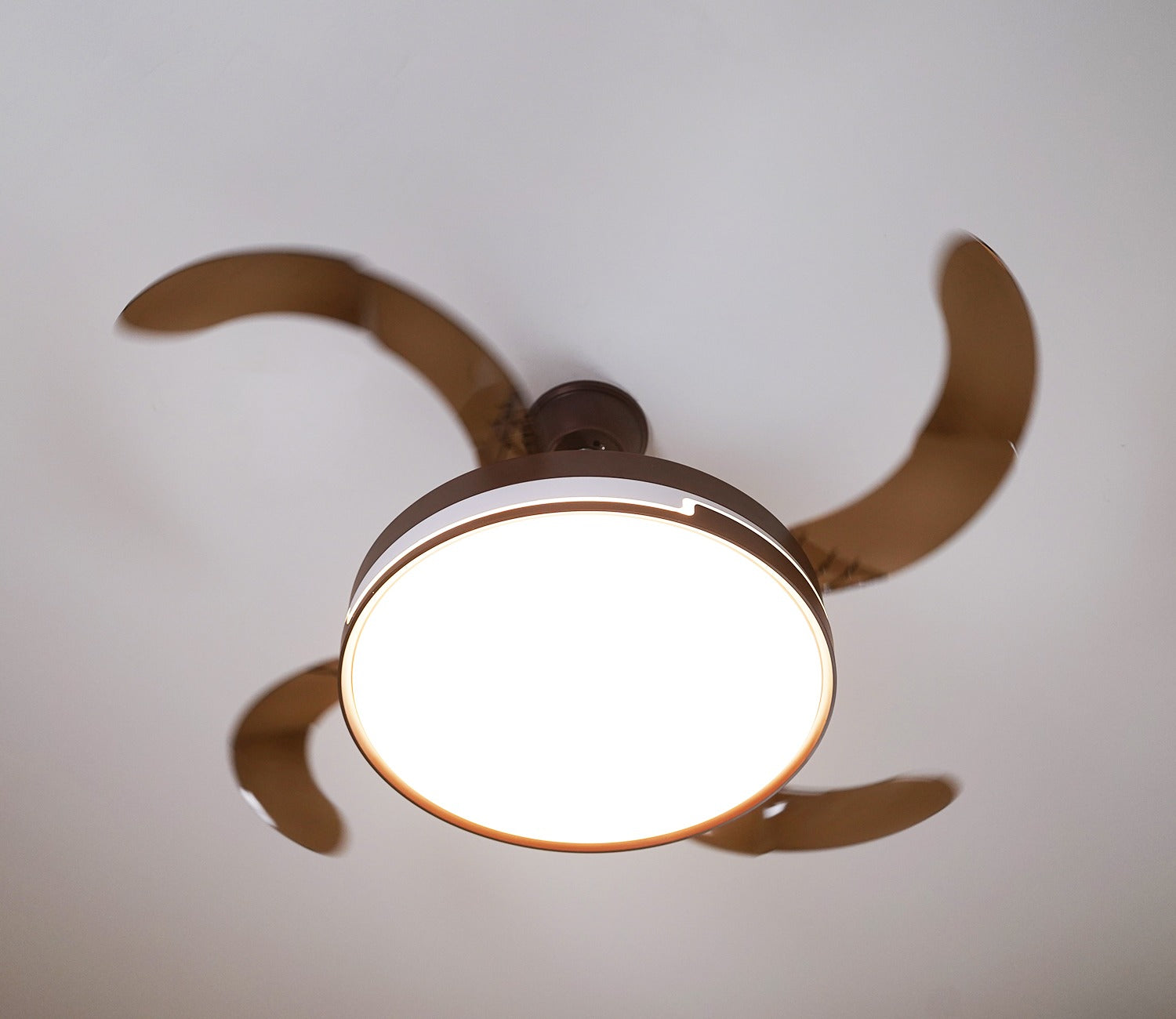 Purity in Motion Lighting Fan-Brown