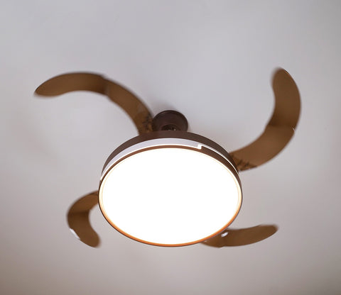 Purity in Motion Lighting Fan-Brown
