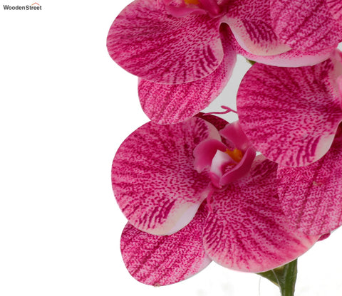 Bloom Artificial Orchid Flower Stick- Set Of 5 (Pink)