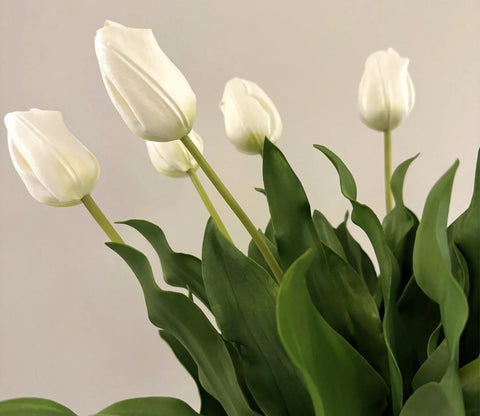 White Tulip Artificial Flower Set of 5
