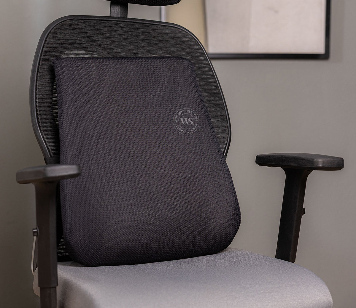 Ergolean Orthopedic Backrest Cushion (Black)