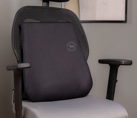 Ergolean Orthopedic Backrest Cushion (Black)