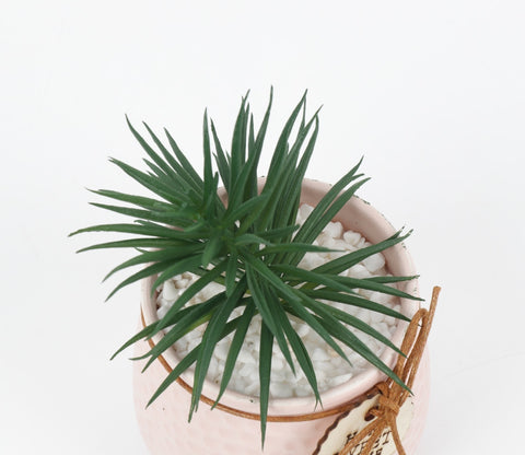 Bloomify Ceramic Pot With Artificial Flowers (Light Pink)