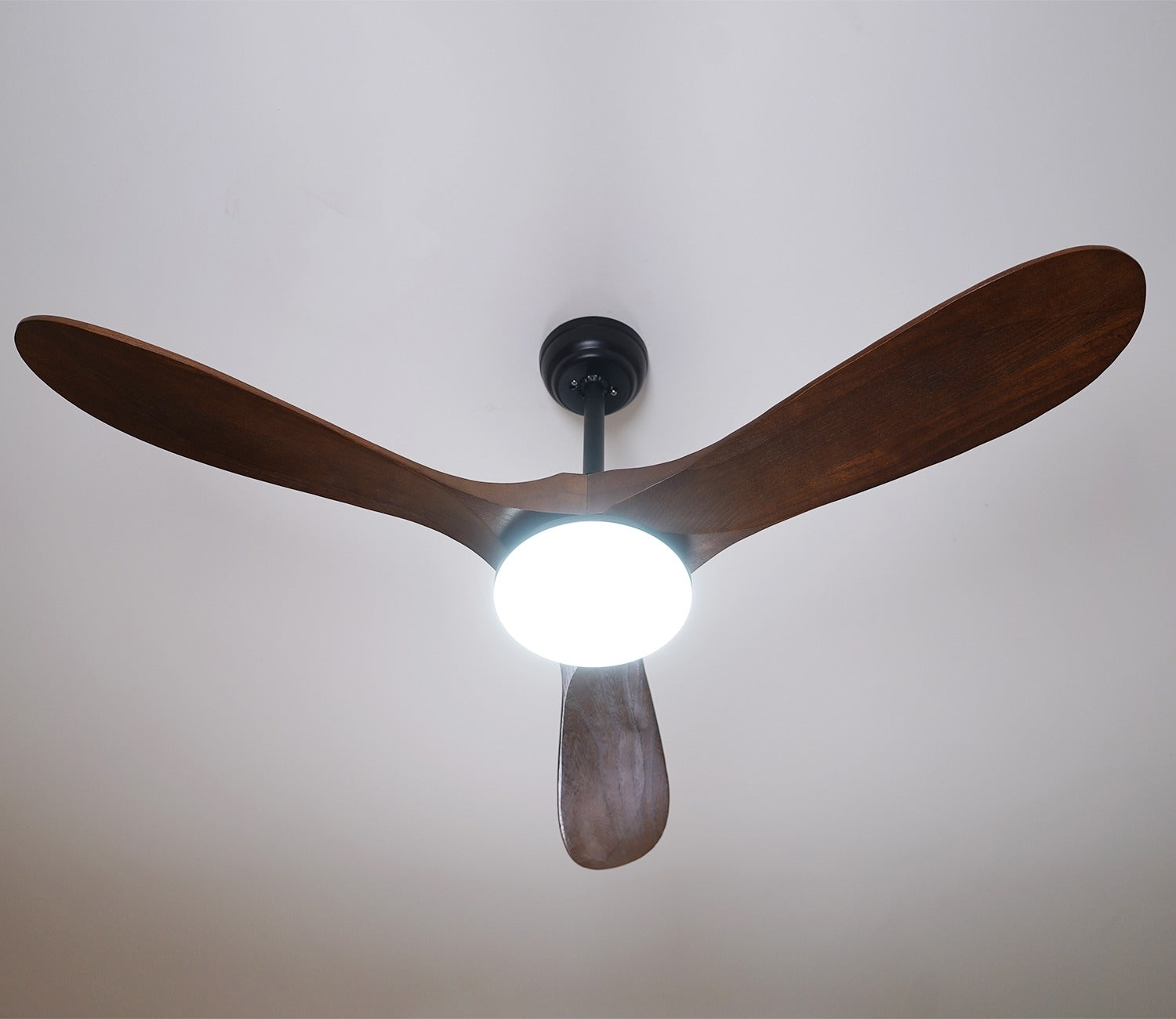 Three Feathers of Bliss Lighting Fan
