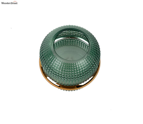 Bloom Box Glass Vase (Green, S)