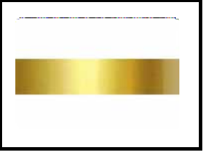 Trueliving_STRIP SS 202  12*3048 MM