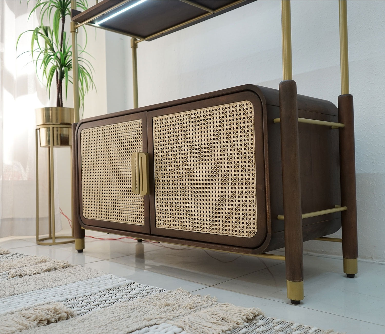 Rachit Sheesham Wood and Cane Door Brass Piping Book Shelf (Teak Finish)