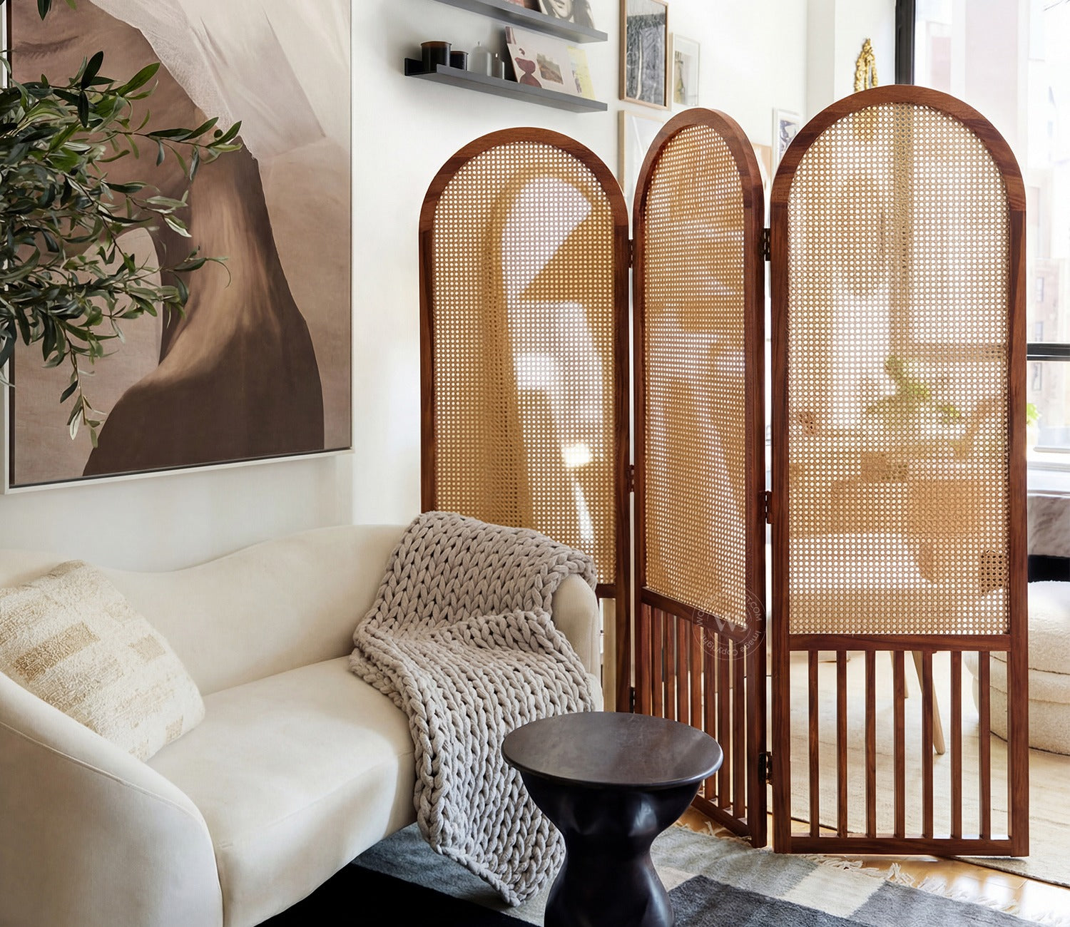 Aavriti Arched Sheesham Wood Room Divider with Natural Cane Weave - Foldable 3 Panel Screen
