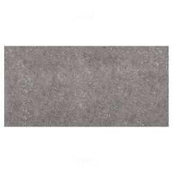 Trueliving_Kajaria Sofia Dark Glossy 600 mm x 300 mm Ceramic Wall Tile_Price-66_Per Sq Ft.