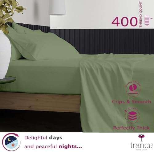 Trance Home Linen Pure 100% Cotton 400TC Plain King Size Bedsheet with 2 Pillow Covers (108 x 108 Inch | 9ft x 9ft, Green)