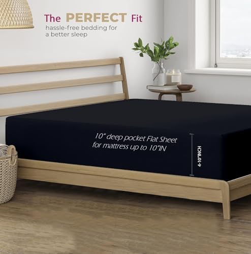 Trance Home Linen Pure 100% Cotton 400TC Plain King Size Bedsheet with 2 Pillow Covers (108 x 108 Inch | 9ft x 9ft, Black)