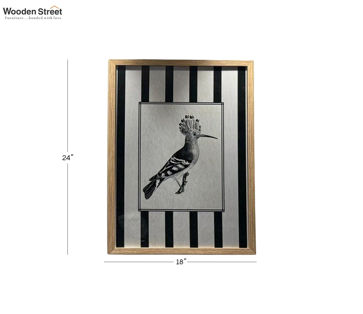 Vintage Hand-Drawn Hoopoe Bird Sketch Wall Art Frame (Multi Color)