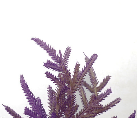 Ever Bloom Artificial Plant Plastic Iron Leaf Plastic Set of 2 (Purple)