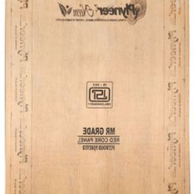 Trueliving_Plyneer Neem 8 ft. x 4 ft. 18 mm MR Plywood__Price Per Sq Ft.___76