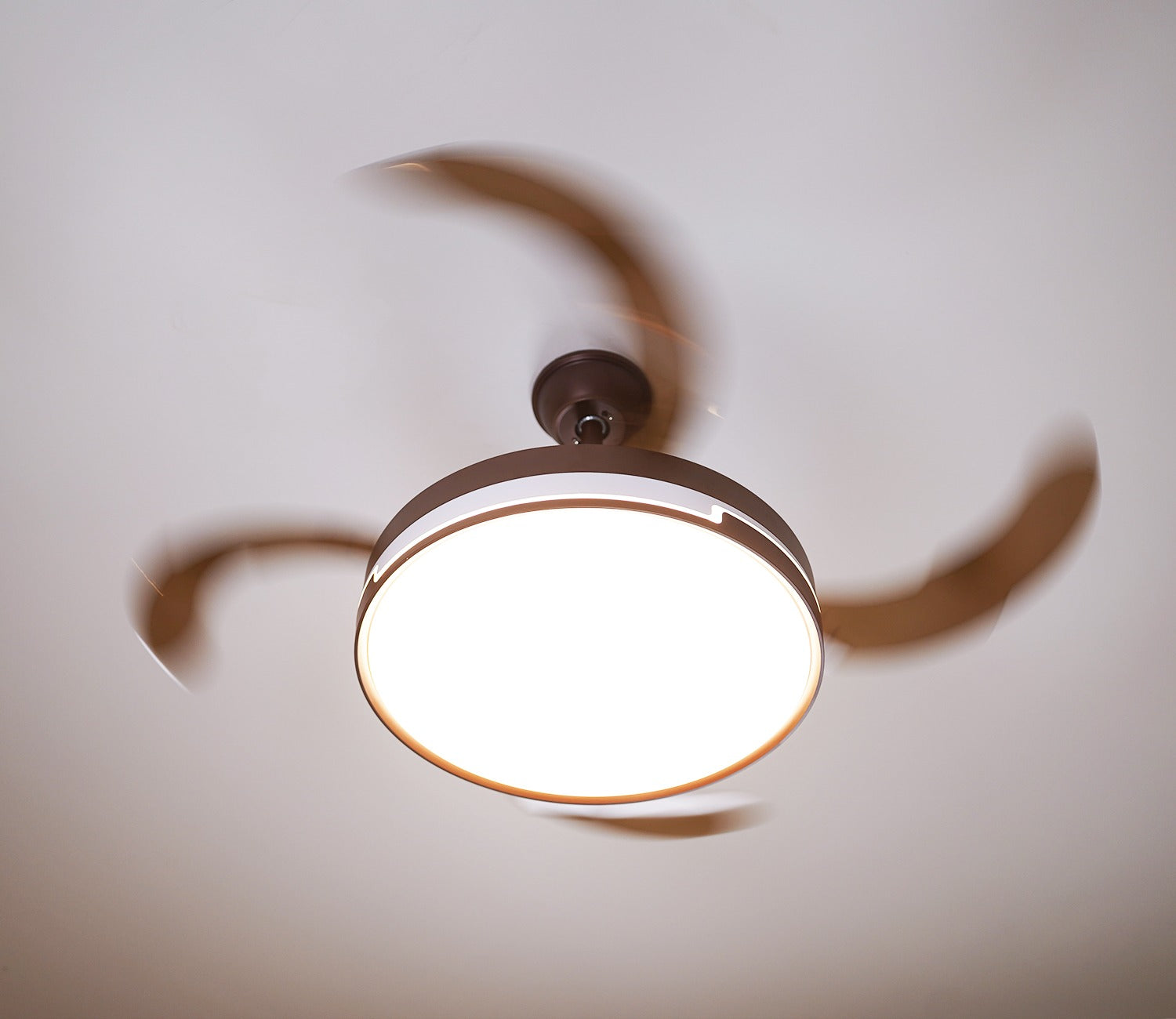 Purity in Motion Lighting Fan-Brown